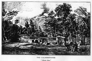 [Calders 1840 Pic.]